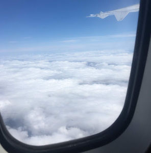 Meet your Posher, Lara